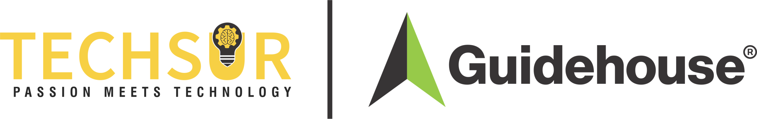 TechSur-Guidehouse JV